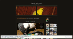Desktop Screenshot of finchwench.wordpress.com