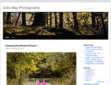 Tablet Screenshot of celiamay.wordpress.com