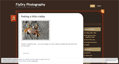 Desktop Screenshot of flydry.wordpress.com