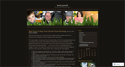 Desktop Screenshot of kevinpurcell.wordpress.com