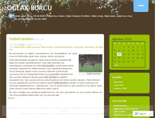Tablet Screenshot of oglakburcu1.wordpress.com
