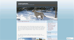 Desktop Screenshot of andyincapebreton.wordpress.com