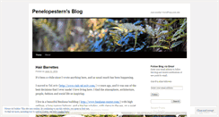 Desktop Screenshot of penelopestern.wordpress.com