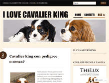 Tablet Screenshot of cavalierking.wordpress.com
