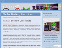 Tablet Screenshot of blueberryconcentrate.wordpress.com