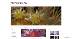 Desktop Screenshot of cactiba.wordpress.com