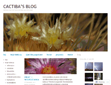 Tablet Screenshot of cactiba.wordpress.com