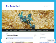 Tablet Screenshot of divecentremanly.wordpress.com