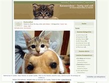 Tablet Screenshot of katzenvideos.wordpress.com