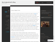 Tablet Screenshot of burningbushnell.wordpress.com