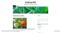 Desktop Screenshot of kodapup.wordpress.com