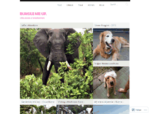 Tablet Screenshot of bundlemeup.wordpress.com
