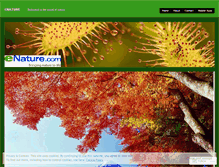 Tablet Screenshot of enatureweb.wordpress.com