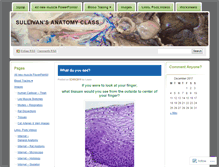 Tablet Screenshot of anatomysullivan.wordpress.com