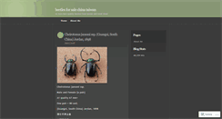 Desktop Screenshot of beetlechina.wordpress.com