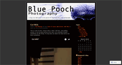 Desktop Screenshot of bluepooch.wordpress.com