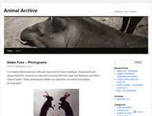Tablet Screenshot of animalarchive.wordpress.com